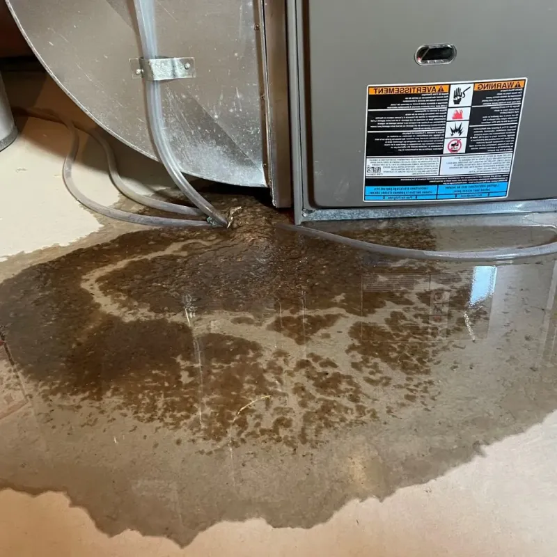 Pipe Burst and Leak Restoration in Cherry Creek, CO